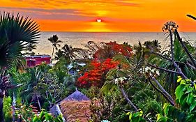 Coucher De Soleil
